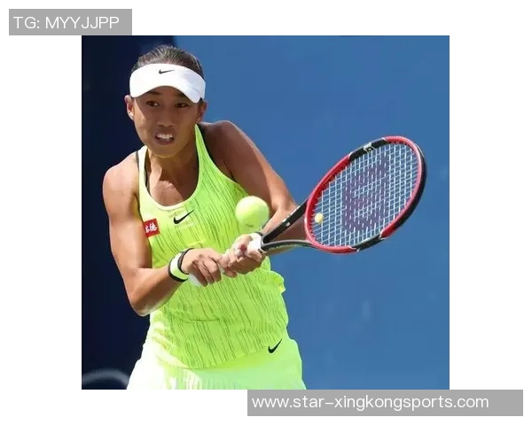 体育实时数据西安网球队阵地战打法深度分析与战术解析